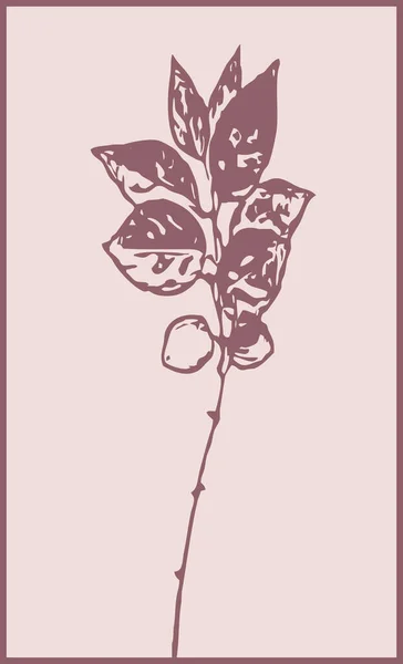 Ботаническое Настенное Искусство Линейный Рисунок Абстрактной Формы Минималистский Дизайн Настенных — стоковое фото