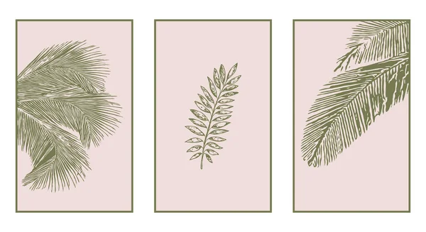 3植物壁アートのセット 植物のラインアート 抽象的な形状で描画します 額装壁プリント キャンバスプリント ポスター 家の装飾のためのミニマリストデザイン — ストックベクタ