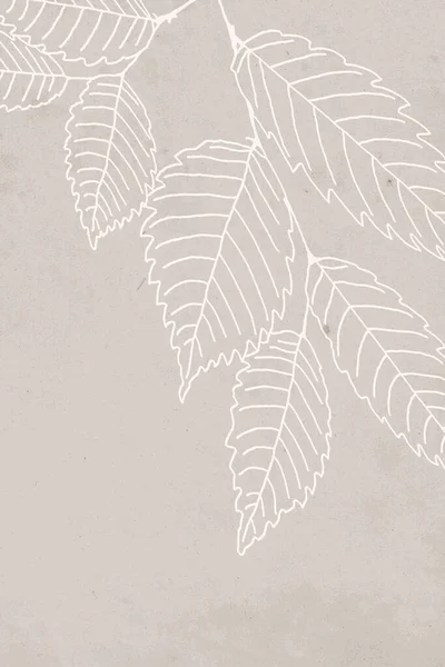 Botanische Muurkunst Lijnkunst Van Planten Tekening Met Abstracte Vorm Abstract — Stockfoto