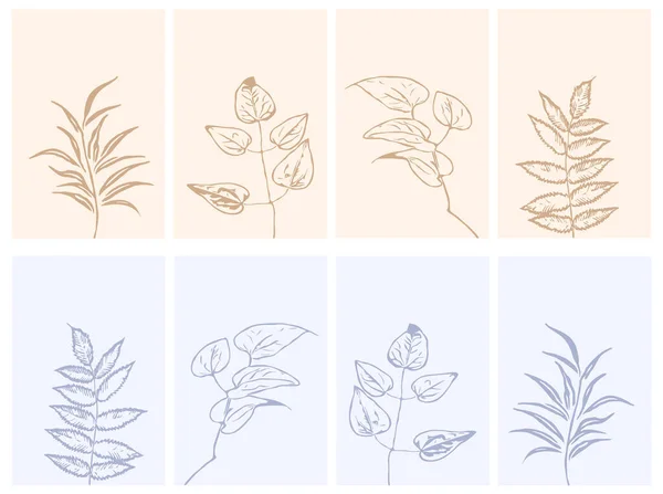 Botanik Duvar Sanatı Bitkilerin Çizgi Sanatı Soyut Şekilli Çizimler Çerçevelenmiş — Stok Vektör