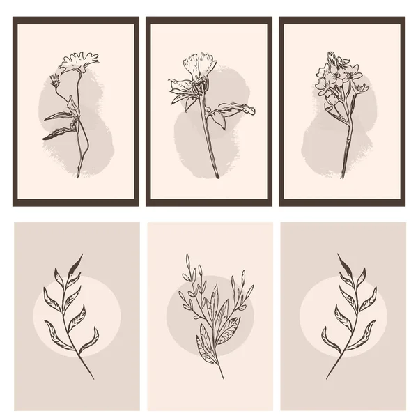 Botanisk Väggkonst Linjekonst Växter Teckning Med Abstrakt Form Abstrakt Blommönster — Stock vektor