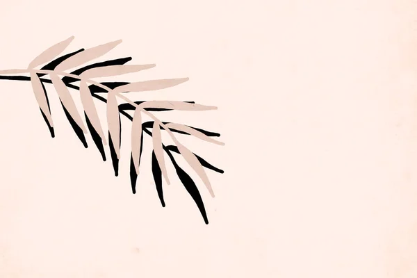Нейтральне Сільське Настінне Мистецтво Друкована Ботанічна Ілюстрація Сучасне Оздоблення Стін — стокове фото
