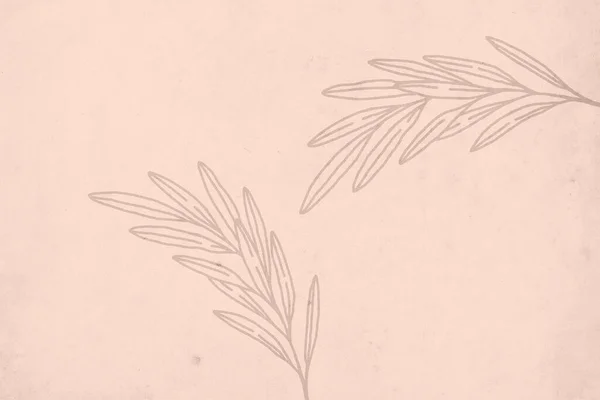 Neutral Rustik Väggkonst Botanisk Illustration Som Kan Tryckas Modern Väggdekoration — Stockfoto