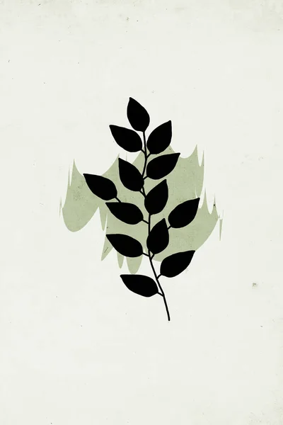 Arte Mural Neutro Ilustración Botánica Para Imprimir Moderna Decoración Pared — Foto de Stock