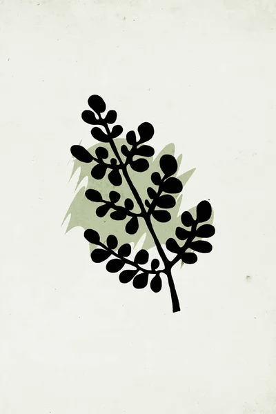 Arte Parede Neutra Ilustração Botânica Imprimível Decoração Parede Moderna Para — Fotografia de Stock