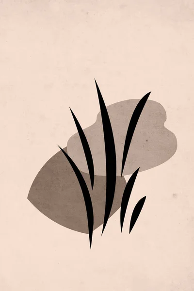 Нейтральное Настенное Искусство Печатная Ботаническая Иллюстрация Современная Отделка Стен Комнаты — стоковое фото