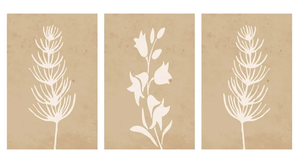 采购产品三套可打印的插图 最小的图案 墙壁艺术 家居装饰 植物学说明 — 图库矢量图片