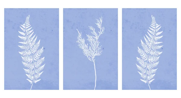 Zestaw Ilustracji Druku Minimalistyczny Wzór Rośliny Kwiaty Sztuka Ścienna Wystrój — Wektor stockowy