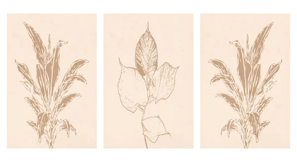 Set Printable Illustrations Minimalist Pattern Plants Flowers Wall Art Home — Stock Vector