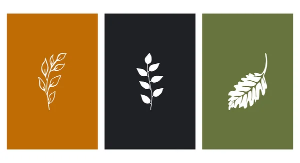 Három Botanikus Fali Műalkotás Növények Vonalművészete Absztrakt Formájú Rajz Kivonat — Stock Vector