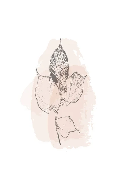 Carte Botanique Tendance Imprimable Utilisez Pour Couverture Papier Peint Art — Photo