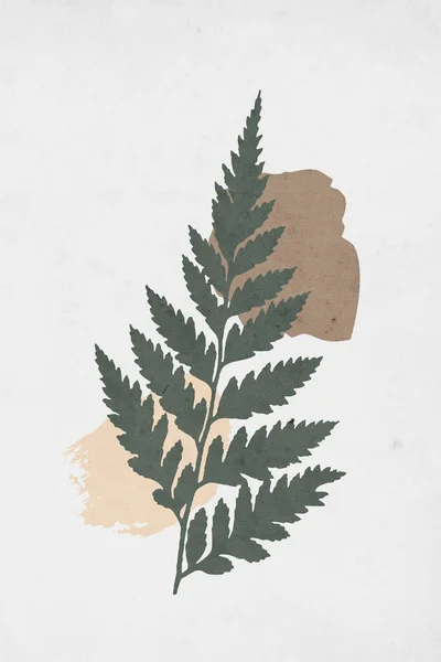 Печатная Модная Ботаническая Карта Используйте Обложки Обоев Настенного Искусства Листья — стоковое фото