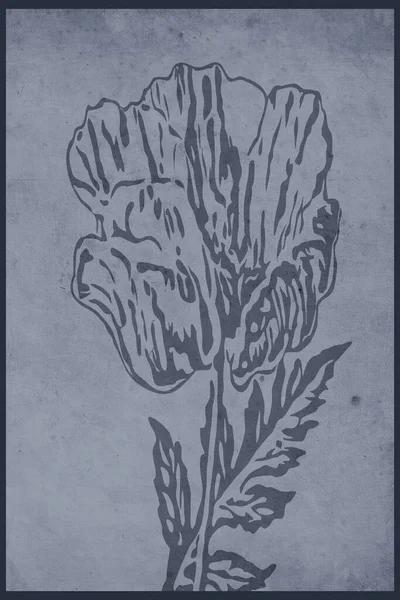 추상적 형태로 그림을 그리는 식물들의 예술입니다 액자로 프린트 캔버스 프린트 — 스톡 사진