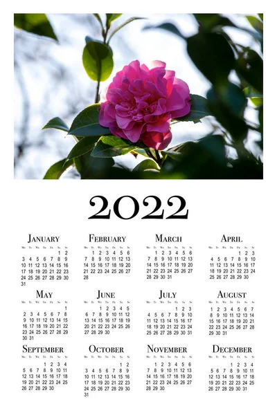 Calendário Botânico Para 2022 Calendário Parede Vertical Para 2022 Semana — Fotografia de Stock