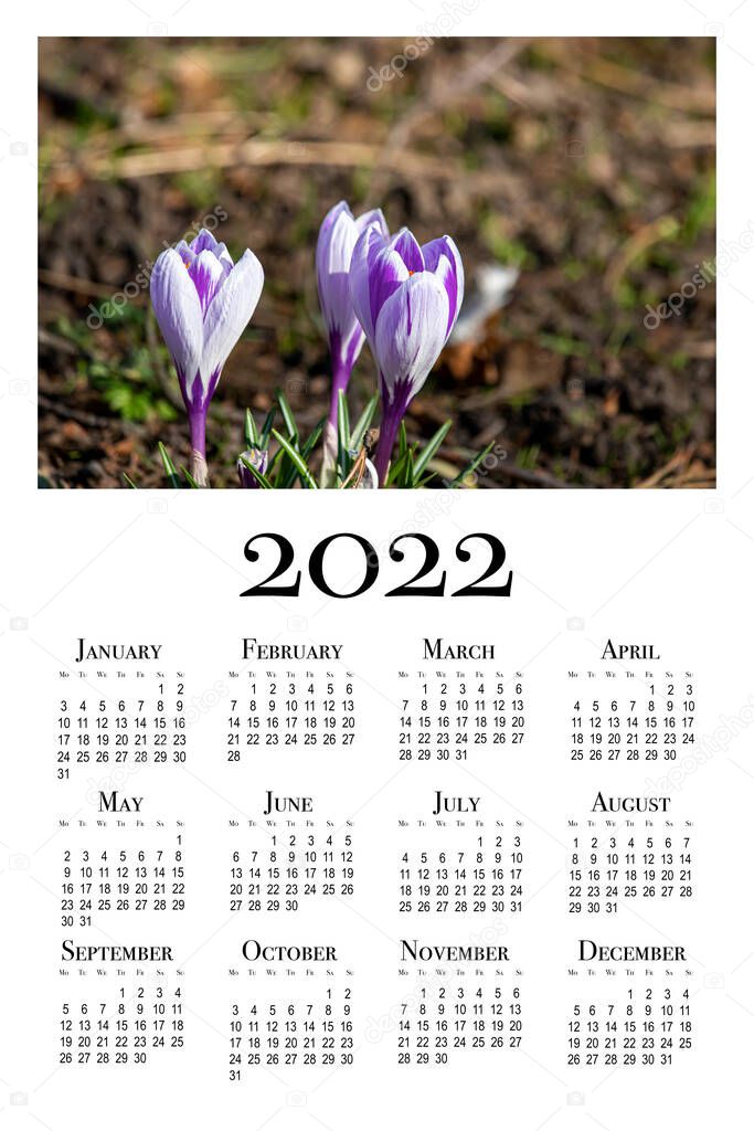 Botanical calendar for 2022. Vertical wall calendar for 2022, week starts Monday.