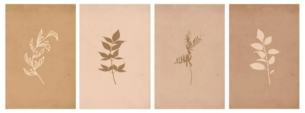 Arte Pared Botánica Línea Arte Las Plantas Dibujo Con Forma — Vector de stock