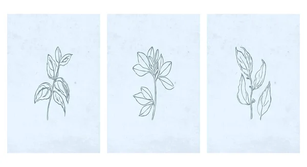 Nyomtatható Trendi Botanikai Kártya Használata Borító Tapéta Fali Művészet — Stock Vector