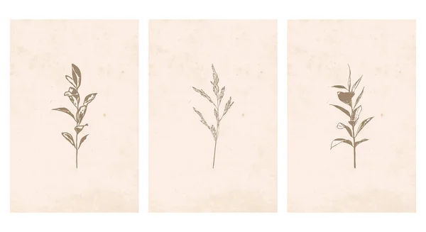 印刷可能なトレンディーな植物カード カバー 壁のアートのための使用 — ストックベクタ