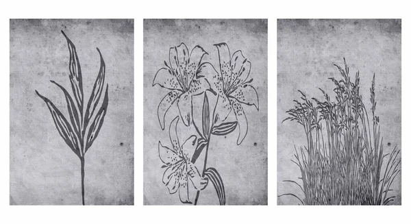 Printable Trendy Botanical Card Use Cover Wallpaper Wall Art — Stock Vector