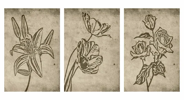 Carte Botanique Tendance Imprimable Utilisez Pour Couverture Papier Peint Art — Image vectorielle