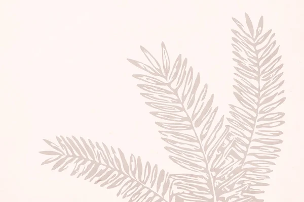 Печатная Ботаническая Иллюстрация Современная Отделка Стен Комнаты Современный Дом Дизайн — стоковое фото