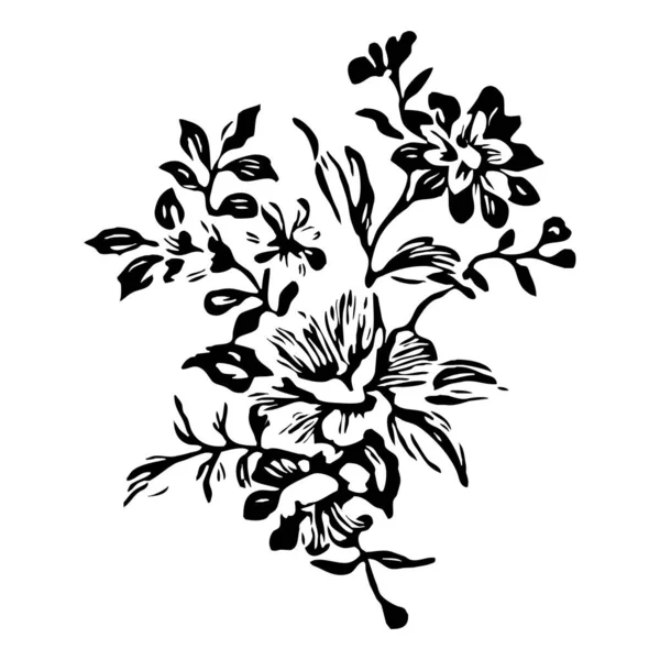 Illustrazione Botanica Elemento Design Vegetale Colore Bianco Nero Icona Isolata — Foto Stock