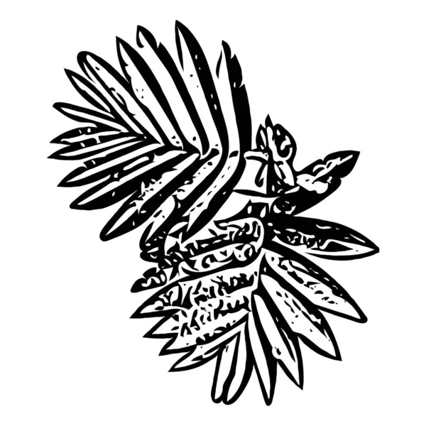 Botanische Illustration Pflanzliches Gestaltungselement Schwarz Weiße Farbe Icon Skizze Umriss — Stockfoto
