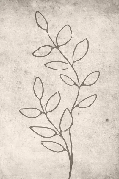 Drukowana Modna Karta Botaniczna Użyj Przykrycia Tapety Sztuki Ściennej Nowoczesna — Zdjęcie stockowe