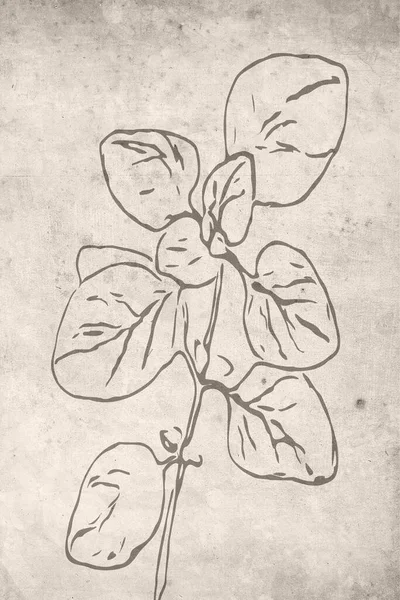 Printable Trendy Botanical Card Use Cover Wallpaper Wall Art Modern — Stock Photo, Image