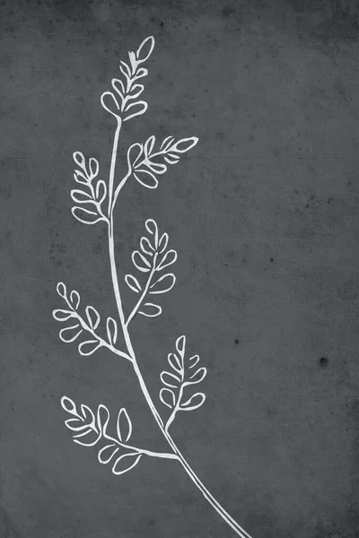Printable Trendy Botanische Kaart Gebruik Als Dekmantel Behang Muurkunst Moderne — Stockfoto