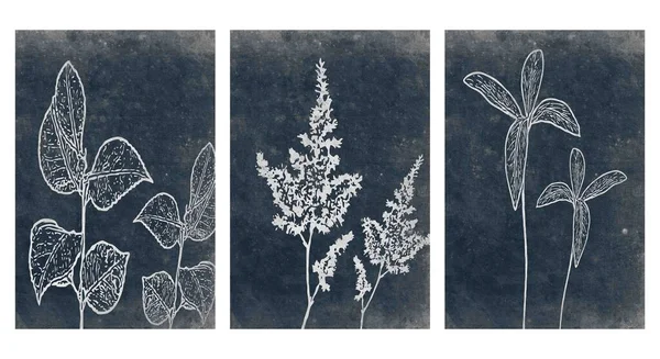 Készlet Nyomtatható Botanikai Illusztráció Modern Rusztikus Faldekoráció Szobának Fedőlap Tapéta — Stock Vector