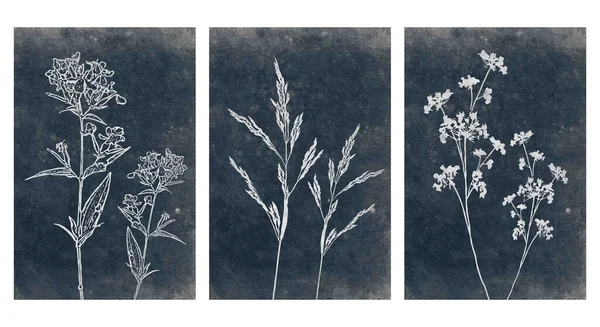 Набор Напечатанных Ботанических Иллюстраций Современная Ржавая Отделка Стен Комнаты Дизайн — стоковый вектор