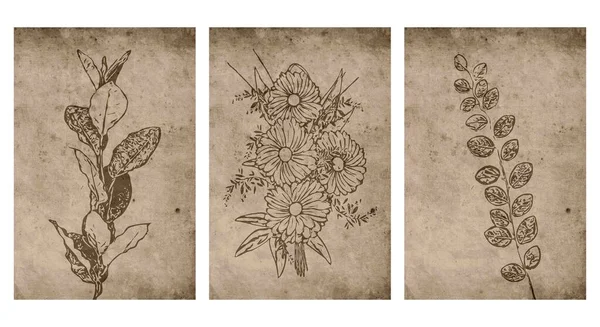 Készlet Nyomtatható Botanikai Illusztráció Modern Rusztikus Faldekoráció Szobának Fedőlap Tapéta — Stock Vector