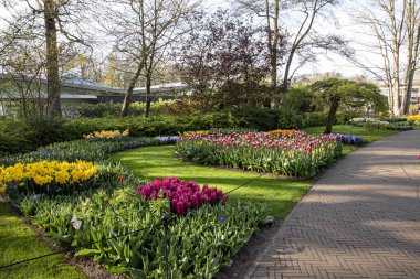 14 Nisan 2022 Hollanda 'da. Keukenhof parkında güzel bahar çiçekleri.