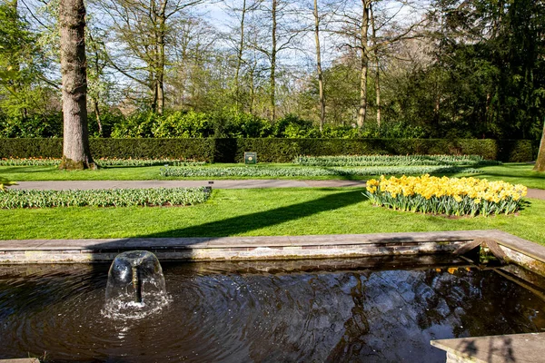 Dubna 2022 Nizozemsko Krásné Jarní Květiny Parku Keukenhof — Stock fotografie
