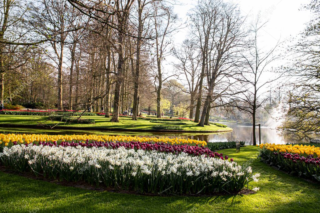 April 14, 2022 The Netherlands. Beautiful spring flowers in Keukenhof park.