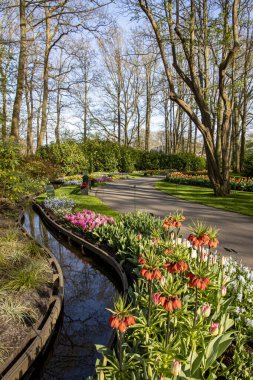 14 Nisan 2022 Hollanda 'da. Keukenhof parkında güzel bahar çiçekleri.