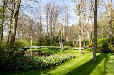 14 Nisan 2022 Hollanda 'da. Keukenhof parkında güzel bahar çiçekleri.