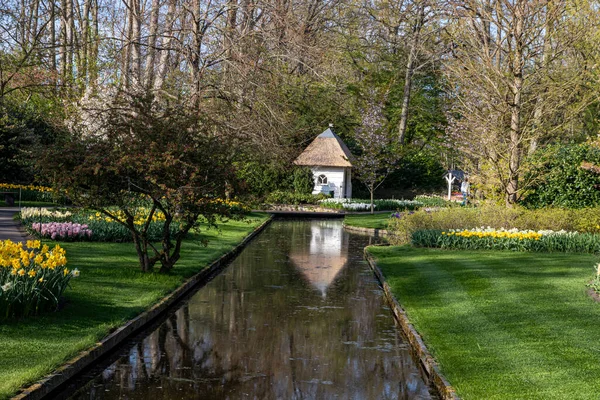 Апреля 2022 Года Нидерланды Прекрасные Весенние Цветы Парке Кеукенхоф — стоковое фото