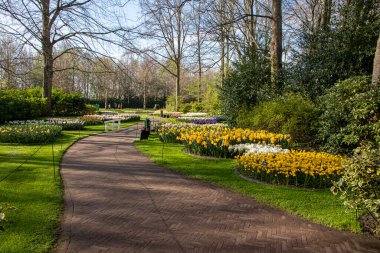 14 Nisan 2022 Hollanda 'da. Keukenhof parkında güzel bahar çiçekleri.
