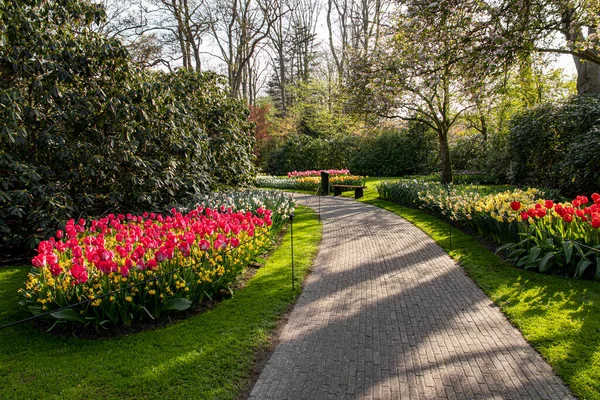 April 2022 Netherlands Beautiful Spring Flowers Keukenhof Park — Stock Photo, Image