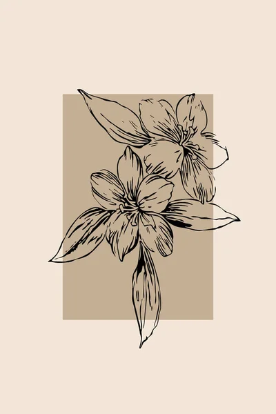 Printable Trendy Botanische Kaart Gebruik Voor Omslag Behang Muurkunst — Stockfoto