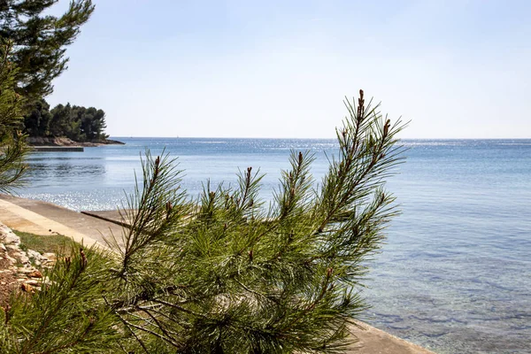 Beautiful Landscape Adriatic Sea Blue Water Sunny April Day Istria — Stock Photo, Image