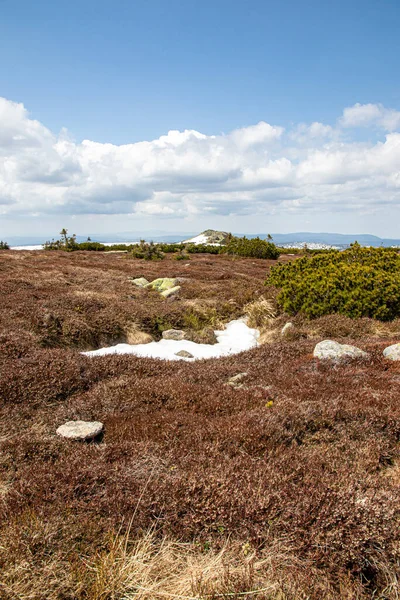 Szklarska Poreba Polen Maj 2022 Vackert Landskap Polska Bergen — Stockfoto