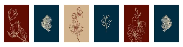 6つの植物イラストのコレクション 植物のラインアート 額装壁のプリント ポスター 家の装飾のためのパターン — ストックベクタ