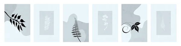 Collection Botanical Illustrations Line Art Plants Pattern Framed Wall Prints — 스톡 벡터