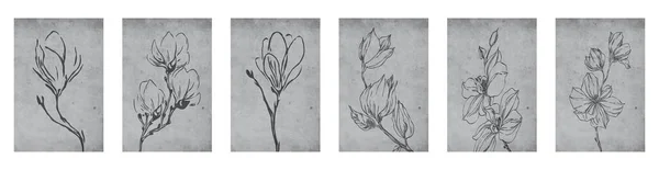 Coleção Ilustrações Botânicas Arte Linha Plantas Padrão Para Estampas Parede — Vetor de Stock
