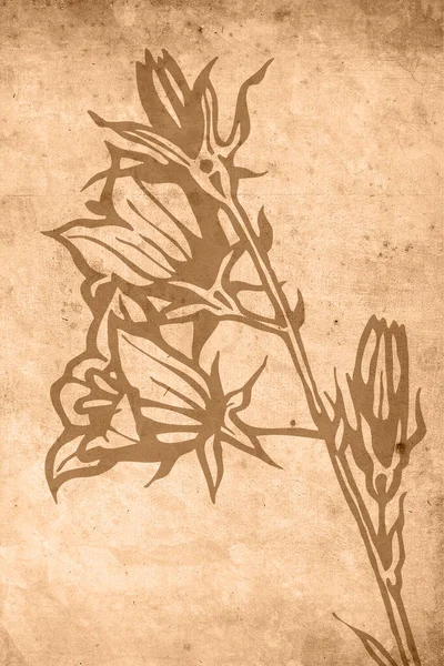 Printable Trendy Botanical Card Use Cover Wallpaper Wall Art Vintage — Photo