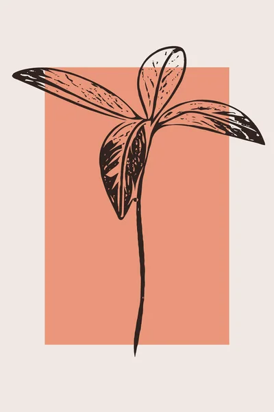 Tarjeta Botánica Moda Imprimible Uso Para Cubierta Papel Pintado Arte —  Fotos de Stock