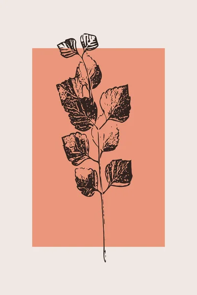 Tarjeta Botánica Moda Imprimible Uso Para Cubierta Papel Pintado Arte —  Fotos de Stock